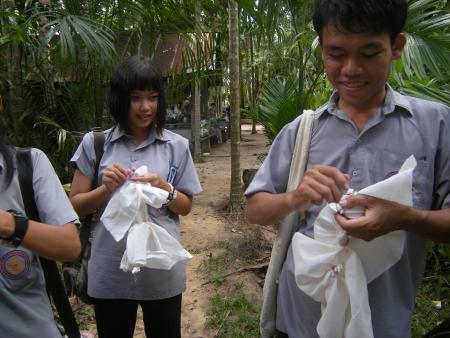 Tie Dye Workshop (Set of 94 Photographs)