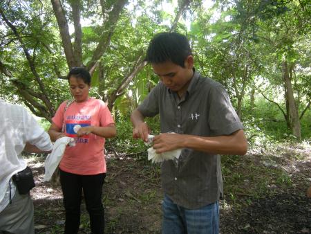 Tie Dye Workshop (Set of 94 Photographs)