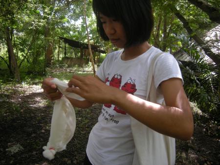 Tie Dye Workshop (Set of 94 Photographs)