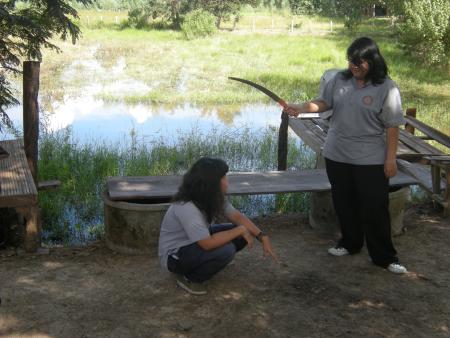 Human Sculpture Workshop (Set of 55 Photographs)