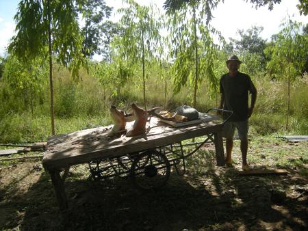 Human Sculpture Workshop (Set of 55 Photographs)