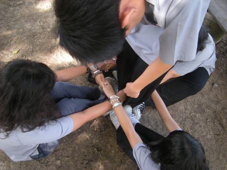 Human Sculpture Workshop (Set of 55 Photographs)