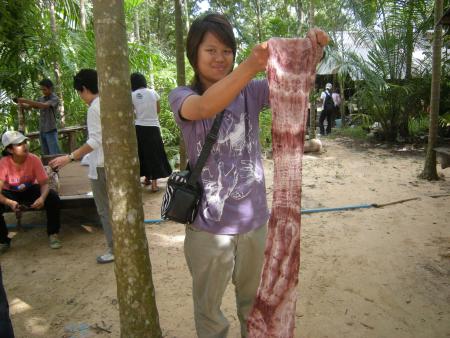 Tie Dye Workshop (Set of 94 Photographs)