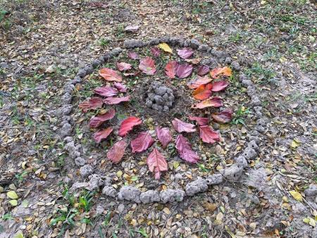 womanifesto workshop 2023